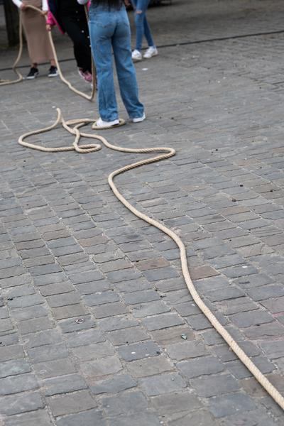 (image : Bea Borgers) (image: Bea Borgers)